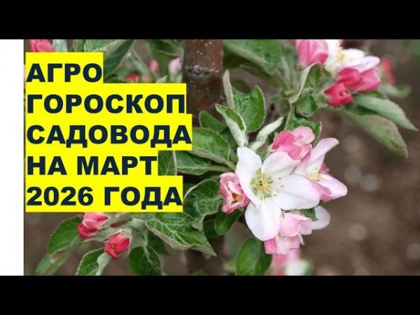 Март 2026: Когда и Какие Работы Провести в Саду?!