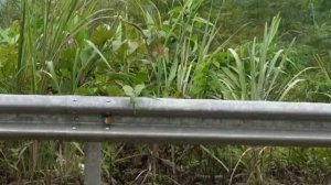 26.Мать-одиночка начинает новую жизнь в заброшенном доме