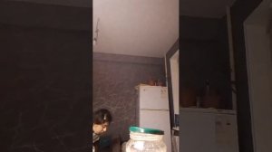 АЛЛАГЬ всезнающий ❤️