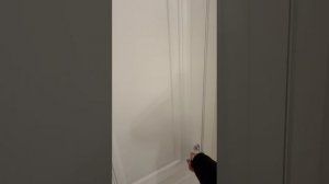 video_2026-02-14_12-05-32