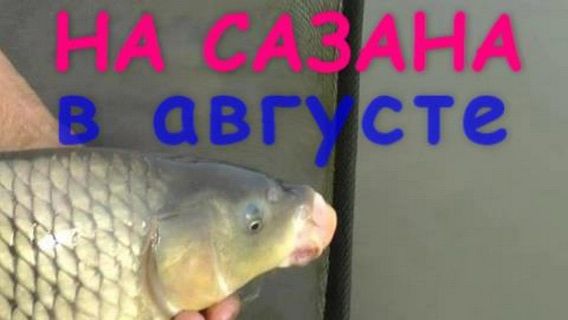 Рыбалка 7-2013