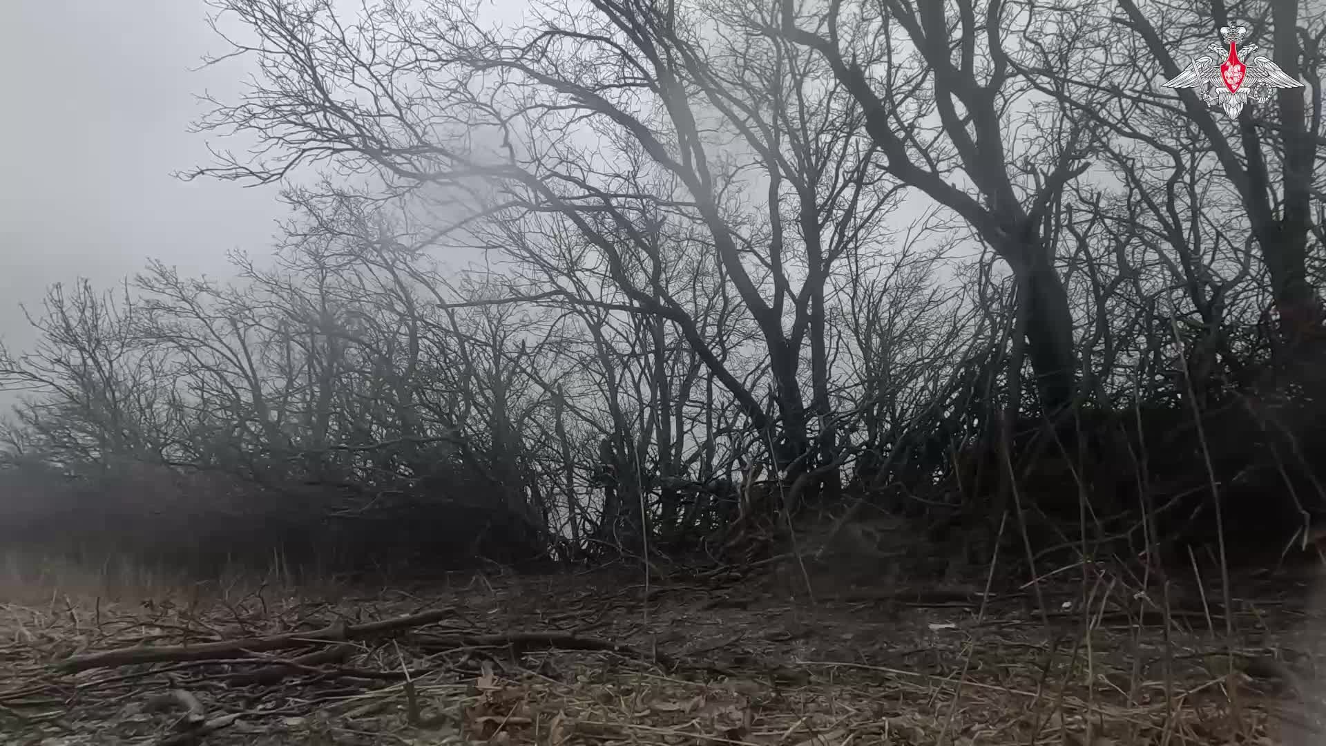 🔥 «Мсты» много не бывает смотреть онлайн