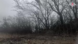 🔥 «Мсты» много не бывает