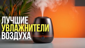ТОП‑5 увлажнителей воздуха до 10 000 ₽: выбираем лучший