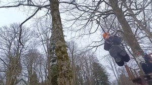 Поездка в Лагонаки