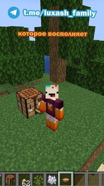 Чем полезен золотой одуванчик майнкрафт?