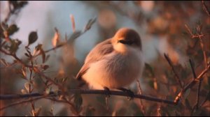 16 февраля - День тайны. Что делать, чтобы не упустить удачу.