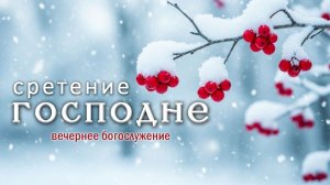 15 февраля 2026 17-00