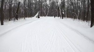 Лыжная тренировка без перемотки под песни юности): 12 км.