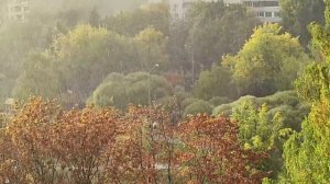 Идёт дождь.mp4