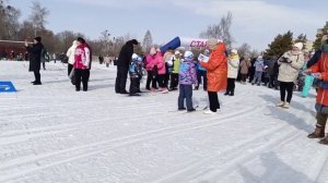 лыжня России 2026