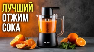 Топ соковыжималок 2026: сравниваем шнековые и центробежные модели.