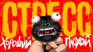 Зачем делать СТРЕСС своим другом? - АмоБлог