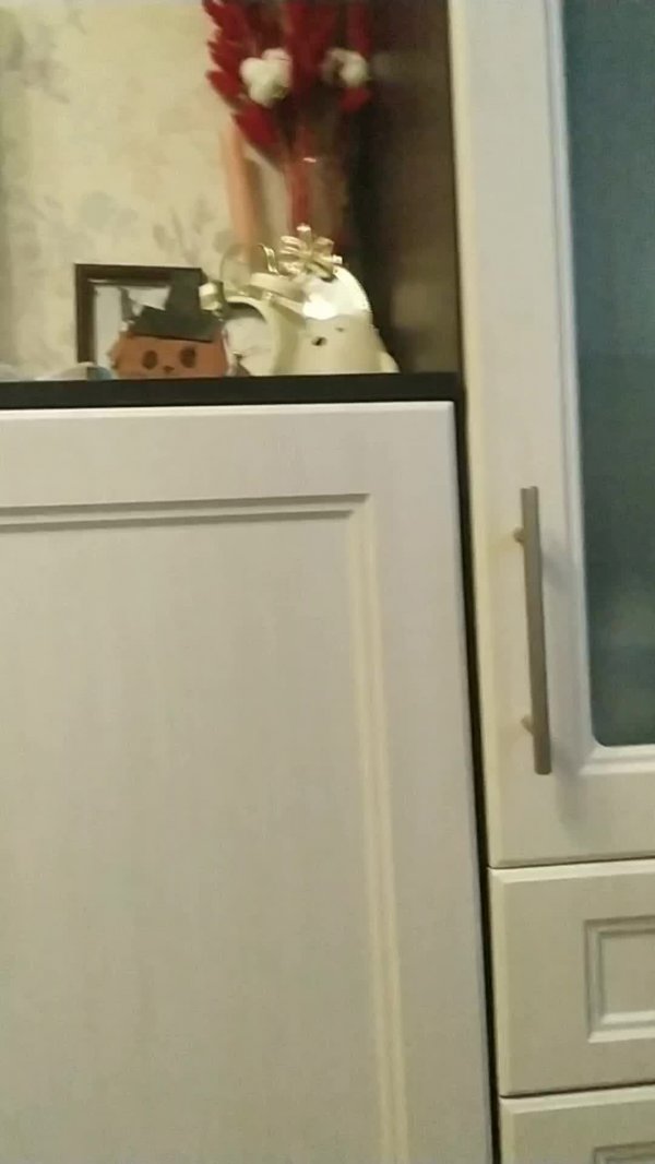 играю в кал оф дюти классик