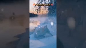 Красивая песня