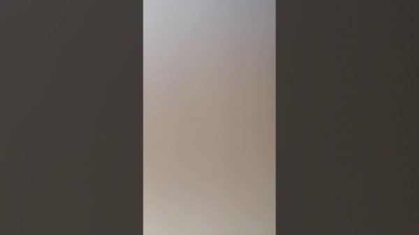 VID_20260215_143846.mp4