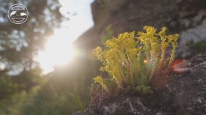 Пещеры Липецкой области. Глава24. Низовья реки Сосны