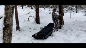 ЗАКРЫТИЕ СЕЗОНА (2025-2026): СНЯЛ КАПКАНЫ, ЗАБРАЛ ПАЛАТКУ.