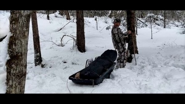 ЗАКРЫТИЕ СЕЗОНА (2025-2026): СНЯЛ КАПКАНЫ, ЗАБРАЛ ПАЛАТКУ.