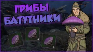 PIONER - ГДЕ НАЙТИ ГРИБ БАТУТНИК
