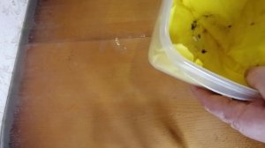 Всхожесть семян перца и огурцов