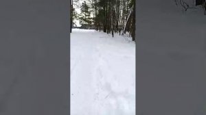 утренний стрим