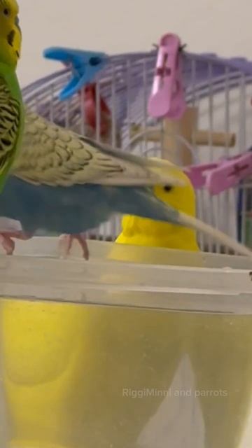 🤣🤣🤣🤣 смотреть онлайн