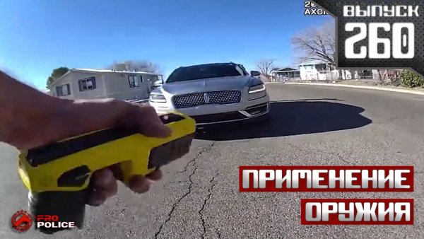 Применение оружия полицейскими: Южные Штаты Америки [Выпуск 260 2026]