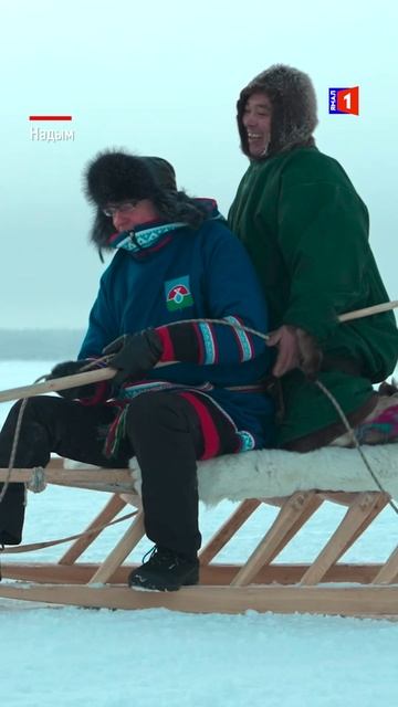 На Дне оленевода состоялись соревнования на оленьих упряжках смотреть онлайн