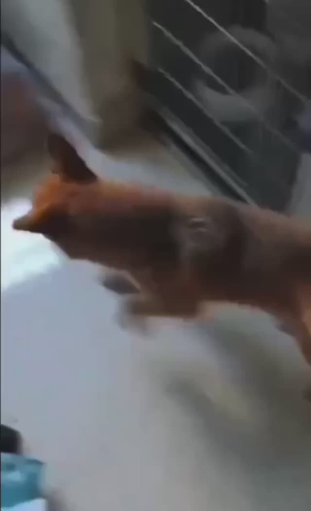 Неудачный побег смотреть онлайн