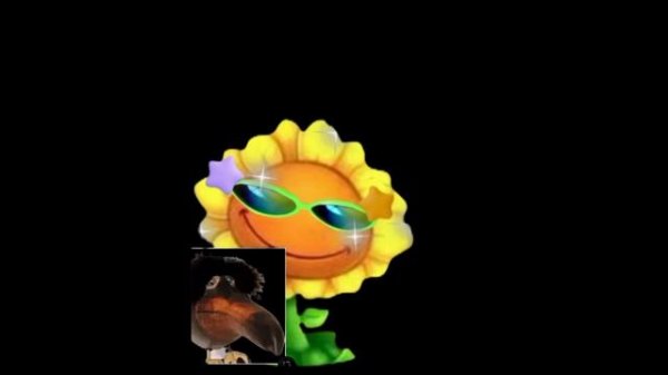 Прощай подсолнух и скебоб😭(Check opisanie)