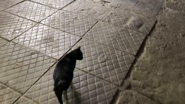 Производственное помещение. 800. М2 смотреть онлайн