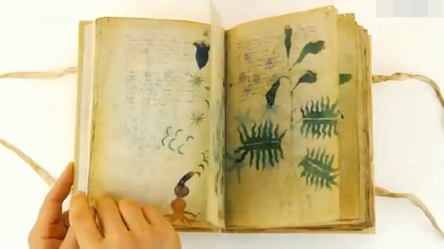 Эта НАХОДКА Российских Ученых Поставила Весь Мир в ТУПИК