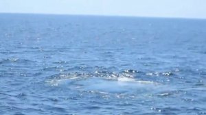 Стрелки вопросами на циферблате Музыка и исполнение Виктор Бекк