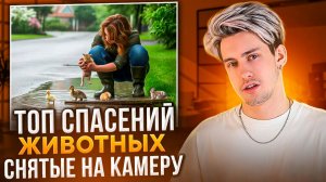 ТОП СПАСЕНИЙ ЖИВОТНЫХ, СНЯТЫЕ НА КАМЕРУ!