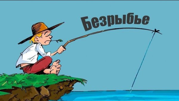 🍿 5 основных причин которые нужно знать, почему рыба не клюёт?