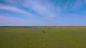 Степь. Музыка Сергея Чекалина. Steppe. Music by Sergey Chekalin.