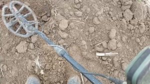 1000302874.mp4Лучший находки 2026 года💥💥💥