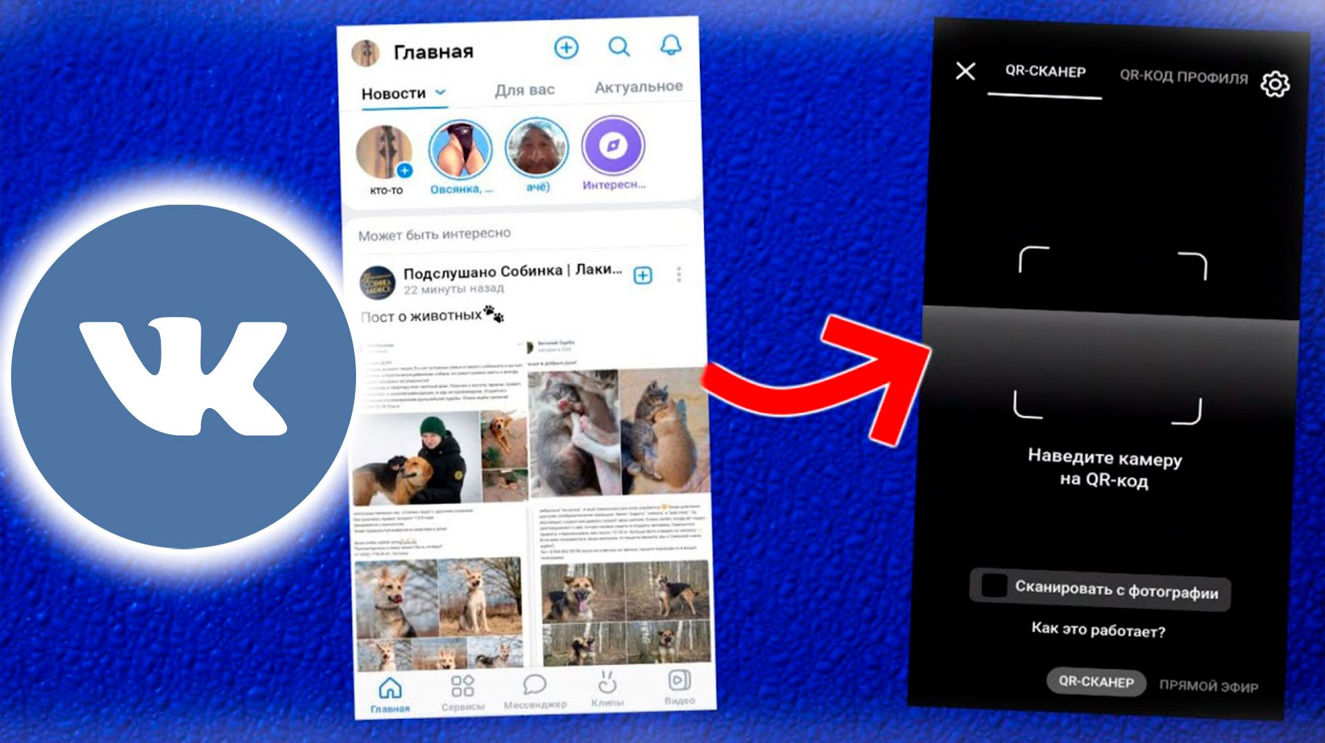 Как войти в ВК через qr код