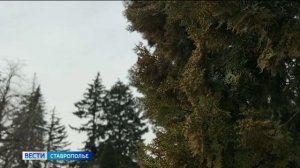 На Ставрополье сохранится теплая погода