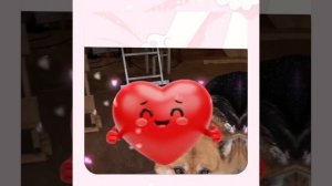 1000048735.mp4 (Собака наблюдает за устройством лестницы на 2 этаж в доме А-фрейм)