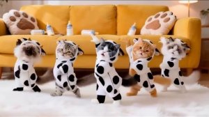 Забавные танцы/Как вы можете получать доход на таких видео