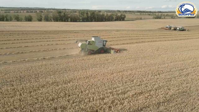 Лидеры по праву