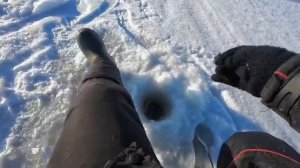 Едим на рыбалка во Свирицу за окунем 2026!!! Клювало вчера и завтра!!!