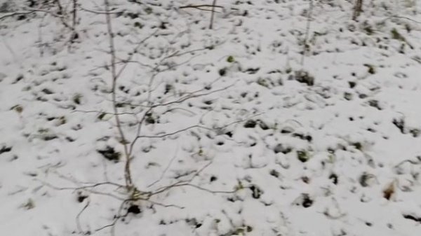 #ах этот февраль замело все и парк и лес