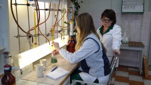 Сотрудницы Михайловского ГОКа участвуют в разработке новых видов окатышей
