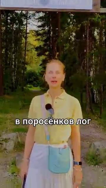 Отзывы о Поросенковом логе...