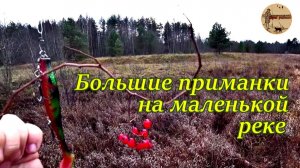 Большие приманки на маленькой реке.Ловля щуки в ноябре. #рыбалка .#спиннинг .#река .#резина