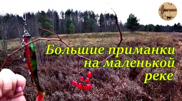 Большие приманки на маленькой реке.Ловля щуки в ноябре. #рыбалка .#спиннинг .#река .#резина