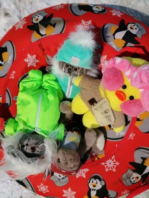 басики гуляют и играют